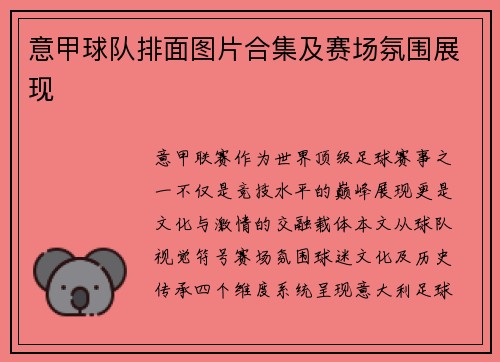 意甲球队排面图片合集及赛场氛围展现